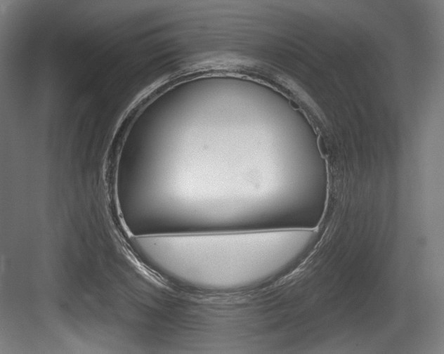 X0000084041026200702160848