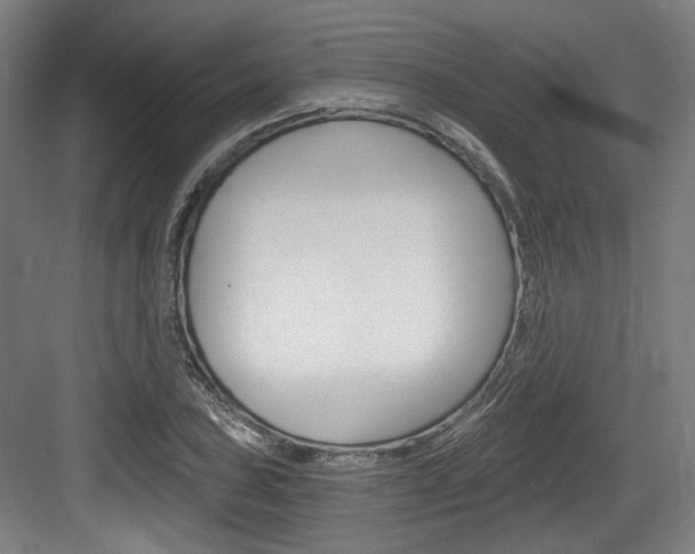 X0000084041027200702160848