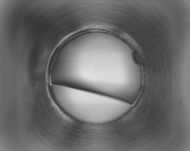 X0000084041028200702160848