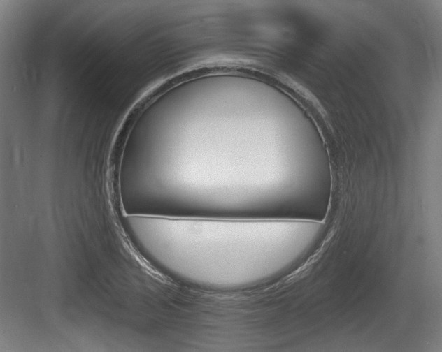 X0000084041029200702160848