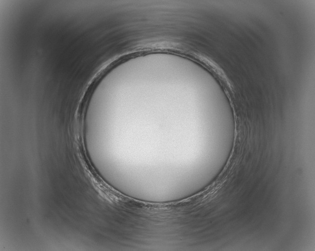 X0000084041031200702160848
