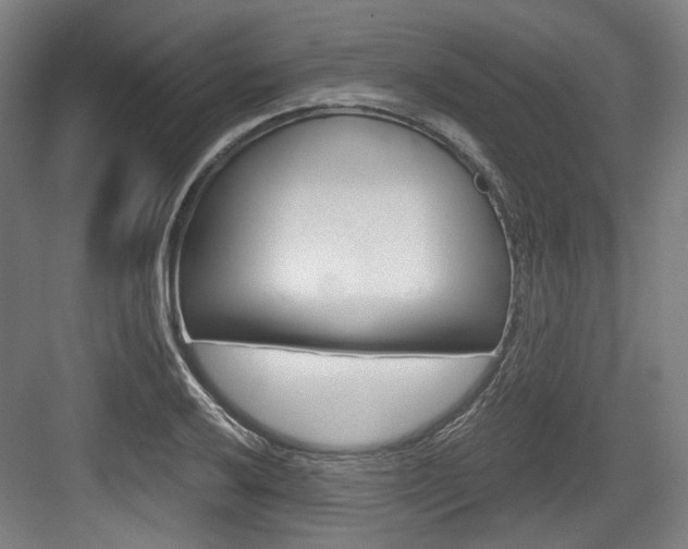 X0000084041032200702160848