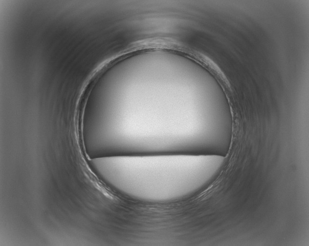 X0000084041035200702160848