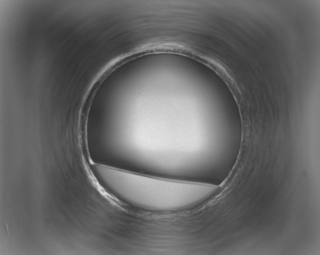 X0000084041038200702160848