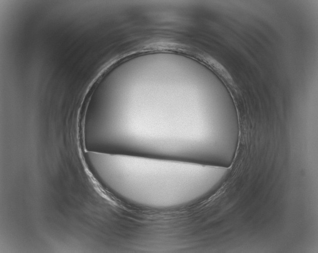 X0000084041039200702160848