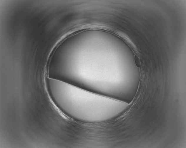 X0000084041040200702160848
