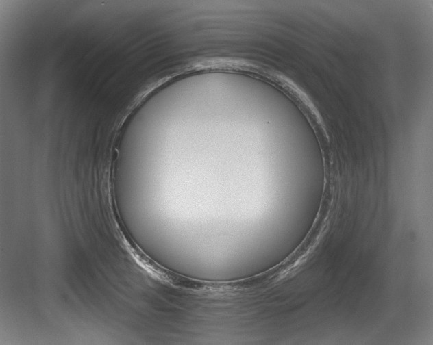X0000084041041200702160848