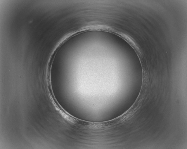 X0000084041046200702160848