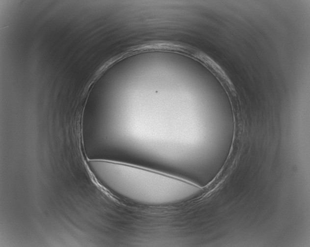 X0000084041049200702160848