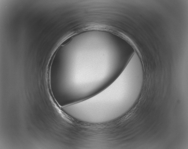 X0000084041050200702160848