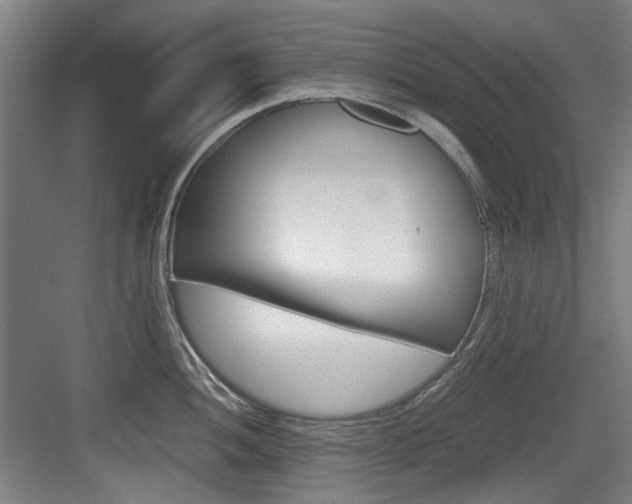 X0000084041052200702160848