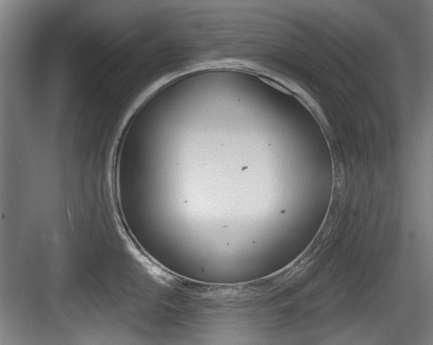 X0000084041054200702160848