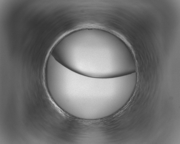 X0000084041056200702160848