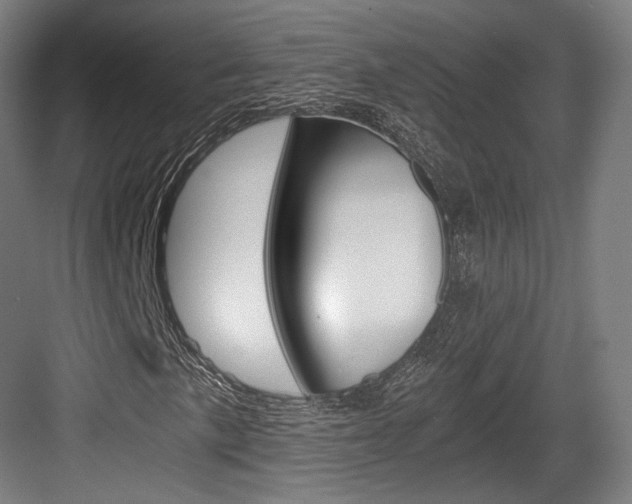 X0000084041057200702160847