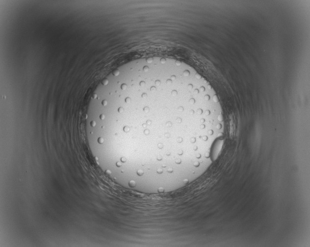 X0000084041059200702160847