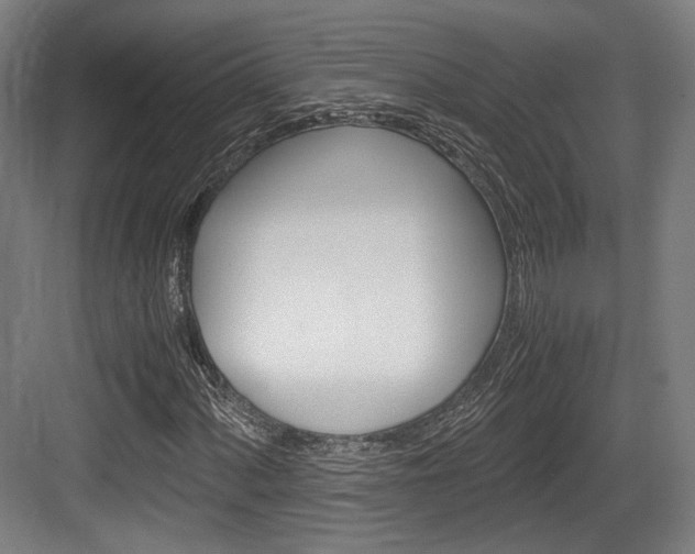 X0000084041060200702160847