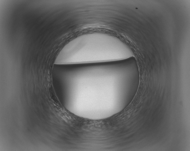 X0000084041062200702160847