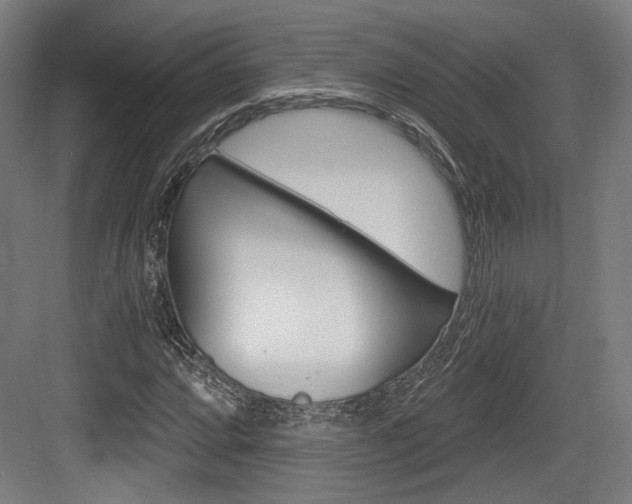 X0000084041064200702160847