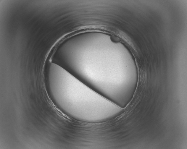 X0000084041068200702160847