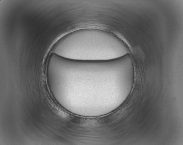 X0000084041071200702160847