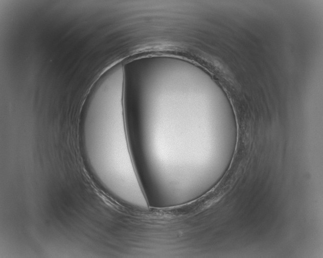 X0000084041073200702160847