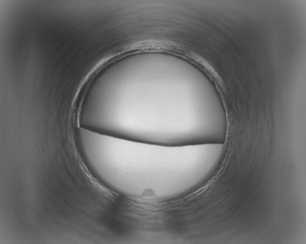X0000084041075200702160847