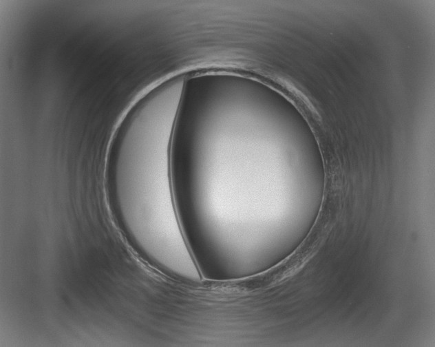 X0000084041077200702160847