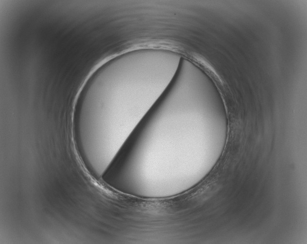 X0000084041079200702160847