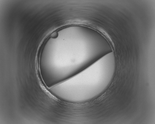 X0000084041080200702160847