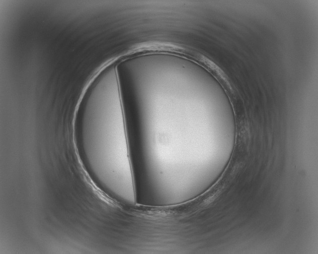 X0000084041082200702160847