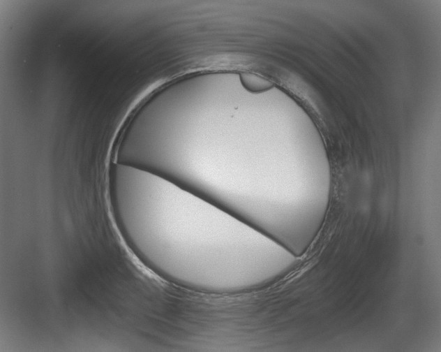 X0000084041087200702160847