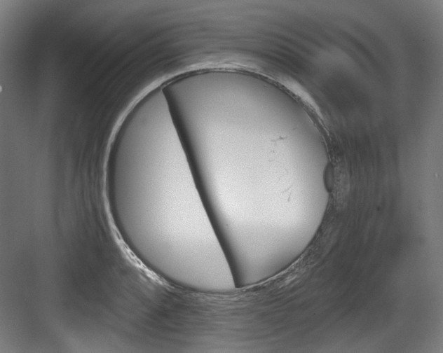 X0000084041088200702160847