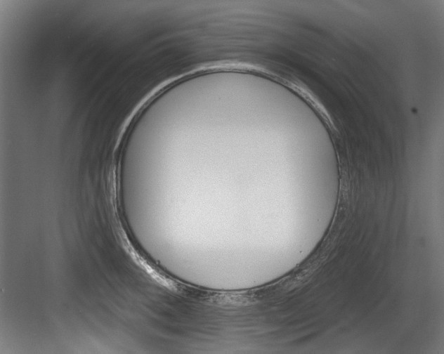 X0000084041092200702160847