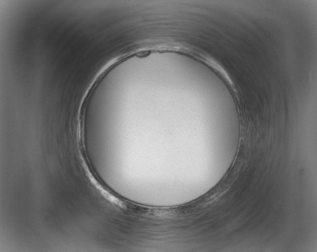 X0000084041095200702160847