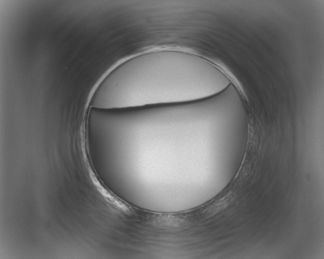 X0000084041100200702160847