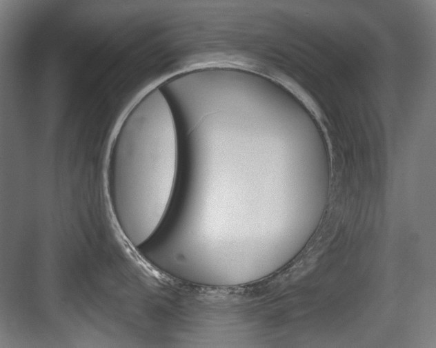 X0000084041104200702160847
