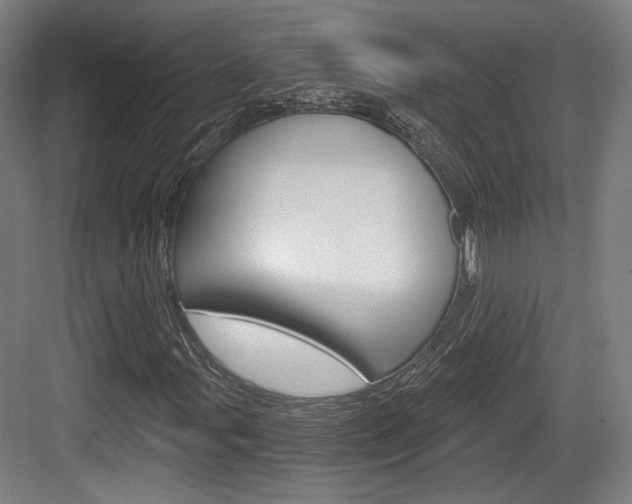 X0000084041107200702160846