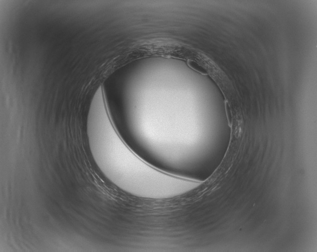 X0000084041108200702160846