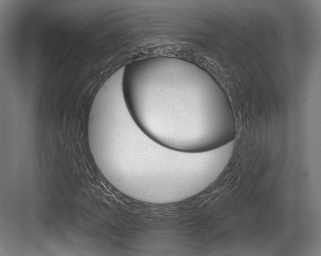 X0000084041109200702160846
