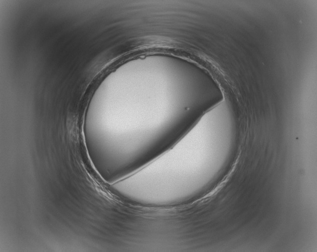X0000084041113200702160846