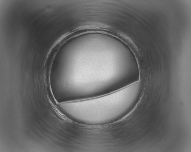 X0000084041114200702160846