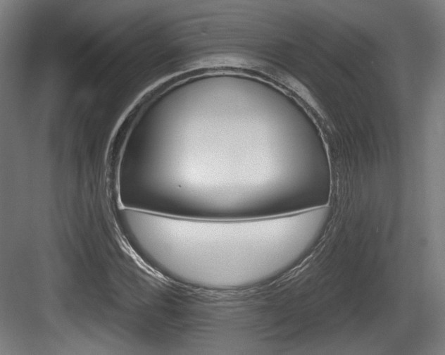 X0000084041116200702160846