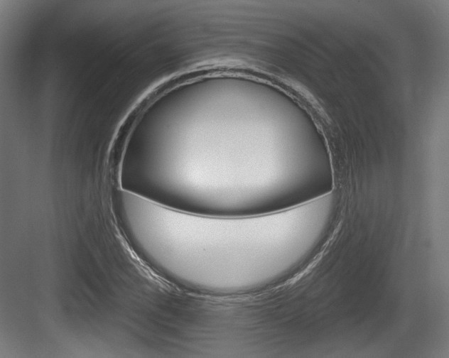 X0000084041118200702160846