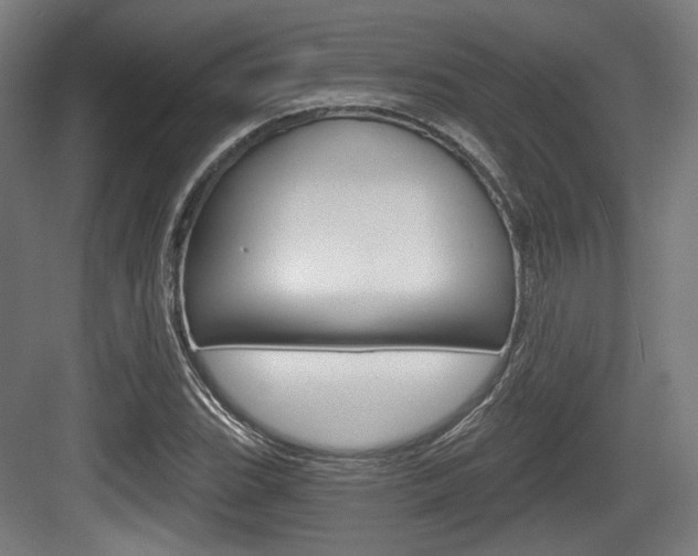 X0000084041119200702160846