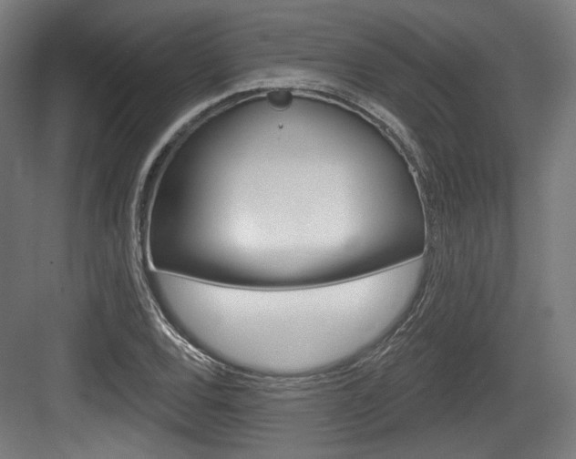 X0000084041120200702160846
