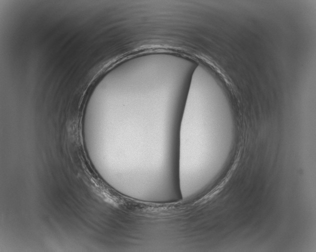 X0000084041121200702160846