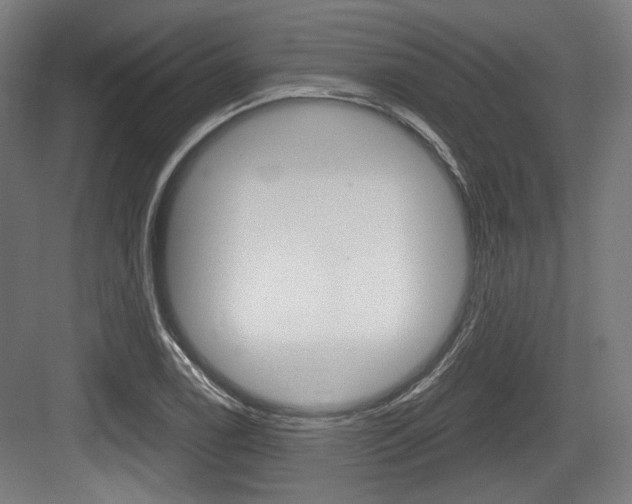 X0000084041122200702160846