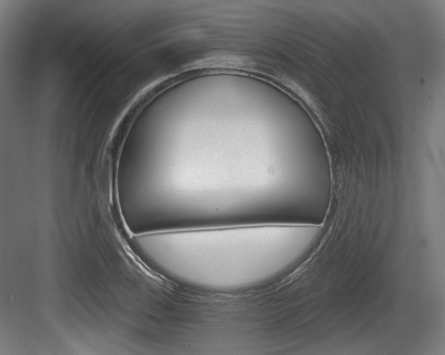 X0000084041123200702160846