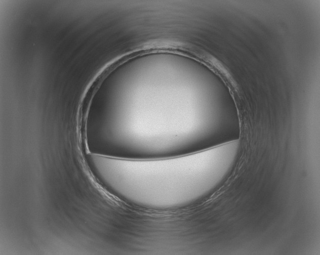 X0000084041124200702160846