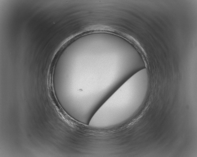 X0000084041125200702160846